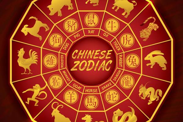 命根子猜一个生肖(命根子猜一生肖是狗肖对吗)