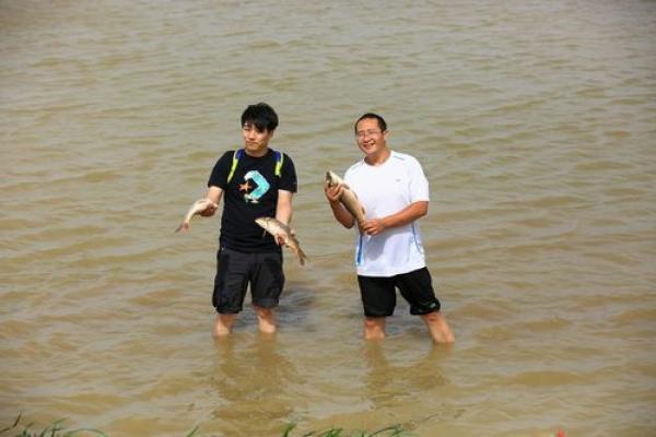 混水摸鱼什么生肖(混水摸鱼的动物是什么生肖)
