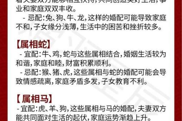 属相与生肖有什么区别 属相与生肖有什么区别