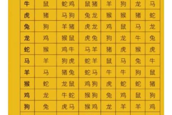 九八年属什么的生肖配对 九八年属什么的生肖配对好