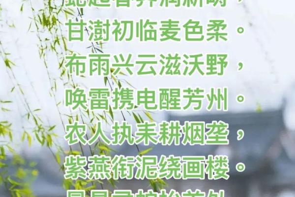 ‌一树一春满山绿打一生肖：‌ 牛 (象征耕耘)