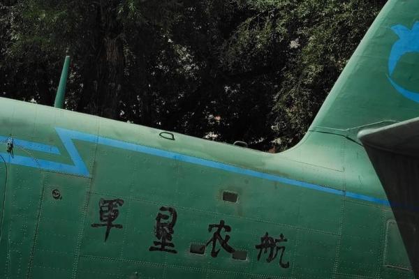 巧取三五和九数是什么生肖 三五相加一七开打一数字