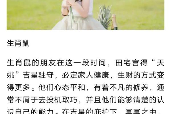 登高望远猜三大生肖 登高望远的生肖是哪个