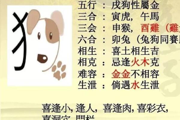 三大生肖是什么