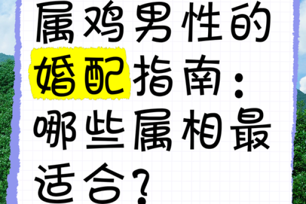 鸡牛属相婚配好不好 鸡牛生肖相配吗