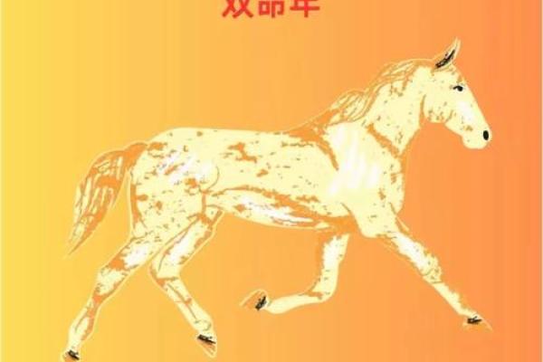 ‌七尺男儿打一最佳生肖 → 马‌（马高七尺，气概昂藏）