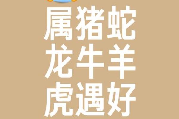 众生所归欢欢喜是什么生肖(众生所归欢欢喜是什么生肖一朝如龙一朝凤指什么生肖) 众生所归欢欢喜是什么生肖(众生所归欢欢喜是什么生肖一朝如龙一朝凤指什么生肖)