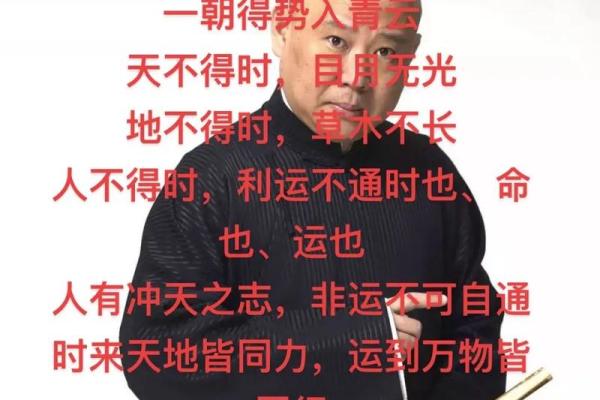 驰道十光上连天打一生肖(驰光什么意思)
