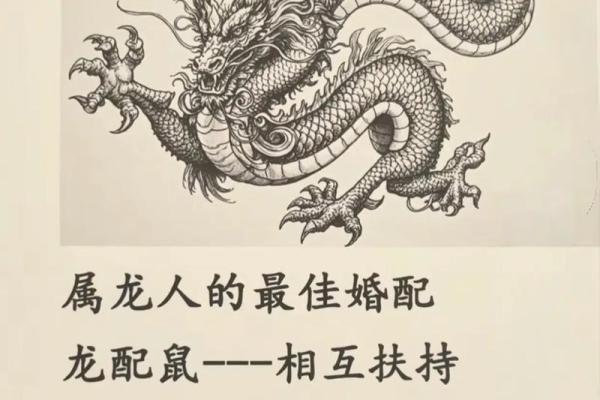 1994属什么生肖最佳婚配 1994年属什么生肖的最佳配偶