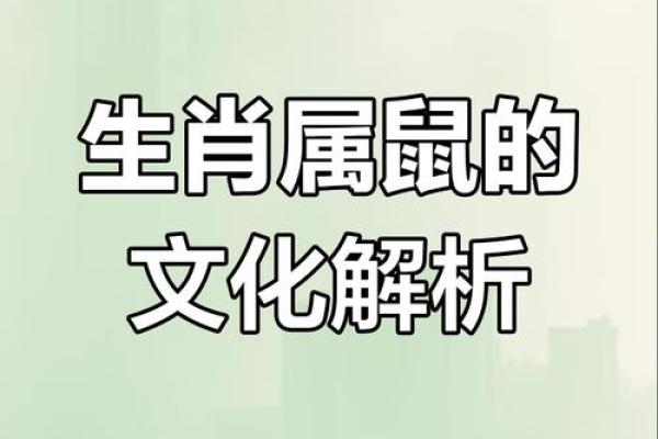 想要了解令出如山对应生肖的详细解析，包括历史来源和文化背景