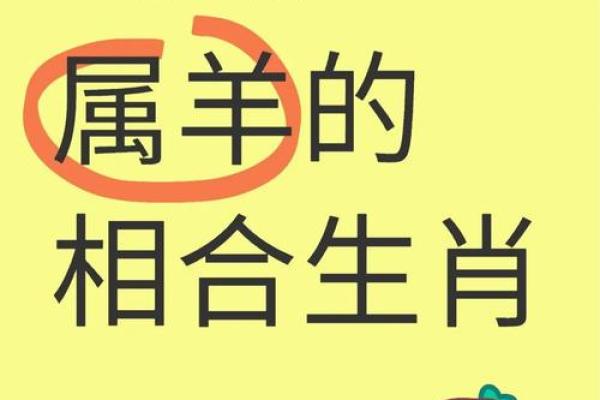 勤俭持家是什么生肖(勤俭持家是什么生肖马牛羊)