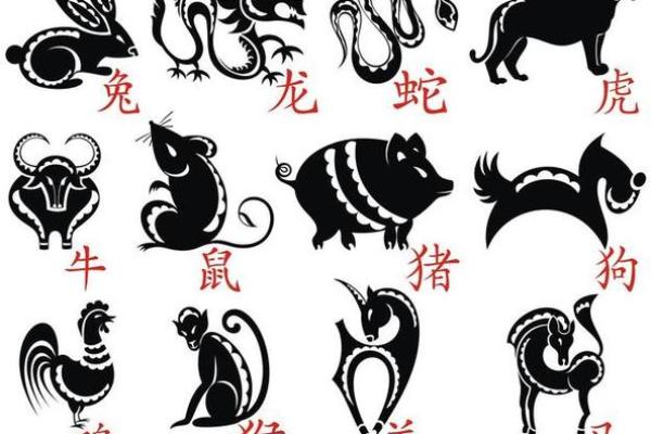 闭门造车打一生肖