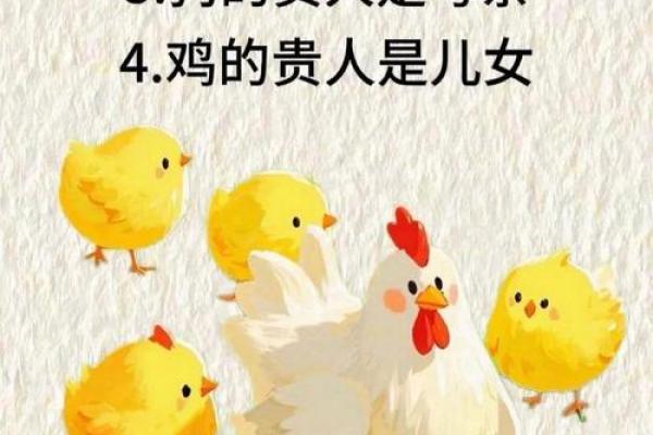 ‌鸡犬相邻打一生肖 → 狗‌（鸡犬相闻，守户为邻）