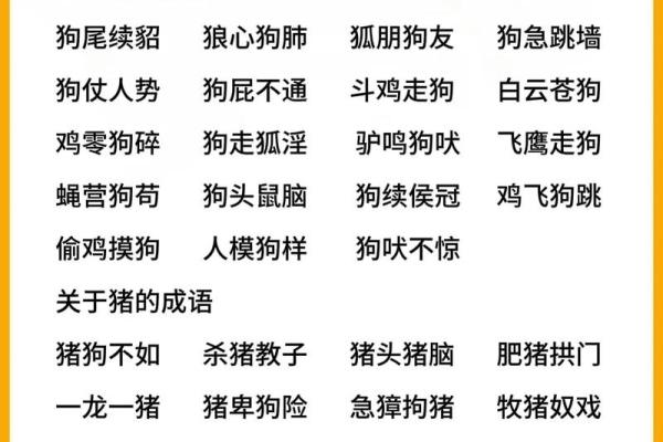 邑犬群吠打一肖动物正确答案揭秘，背后蕴含的成语故事是什么？