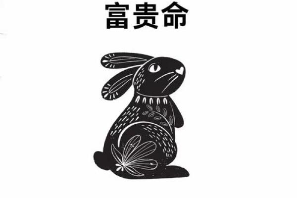 头破血流是什么生肖(头破血流是什么生肖兔)
