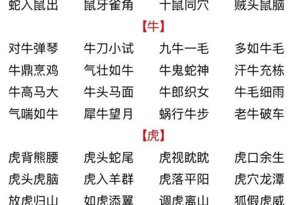 想了解鼠肚鸡肠”着个成语中隐藏的生肖秘密，它到底代表哪一个属相？