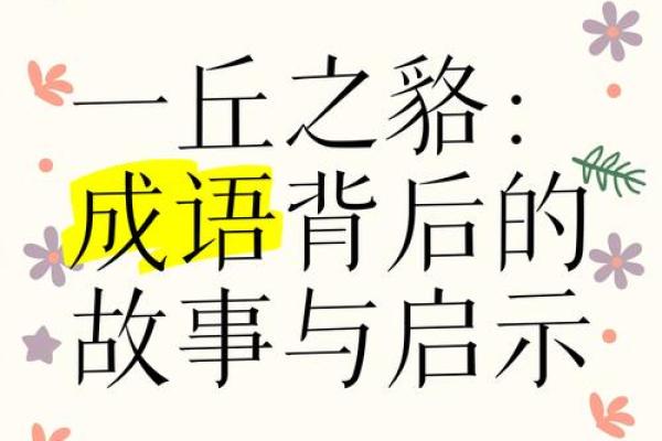 一丘之貉打一生肖最佳答案是什么？它的由来和典故解析