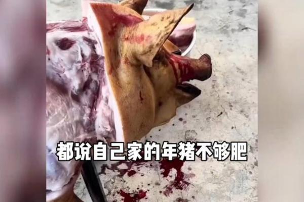 嫌肥挑瘦是什么生肖