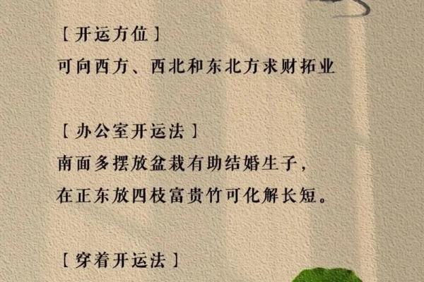 乱是指哪一生肖 乱指的是什么生肖