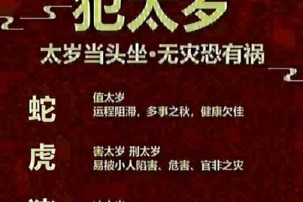 急如风火猜一生肖 急如风火打一生肖指什么