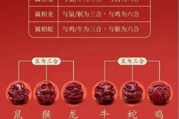 蛇年什么属相不能结婚 蛇年忌讳与哪个生肖成婚