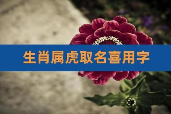 花字最忌三种属相 花字生肖