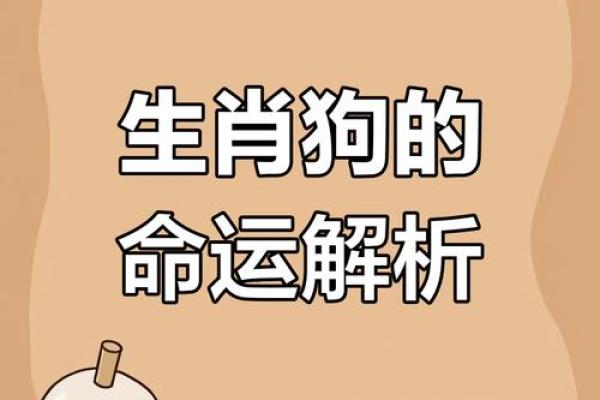 82年男狗最佳婚配属相 82年狗男婚配忌哪些生肖