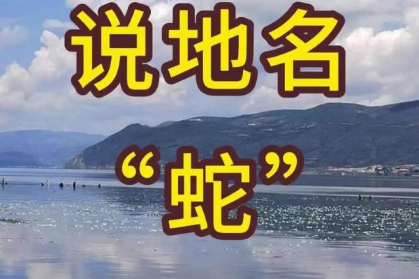 虎头蛇尾打一生肖(虎头蛇尾打一生肖答案谜底羊)