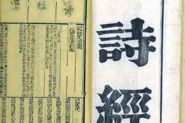 谁能帮我解析一下桃花流水的谜面，它的准确生肖答案和原因是什么？