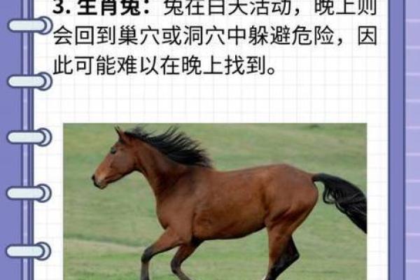 穷的生肖指什么生肖 十二生肖谁最穷