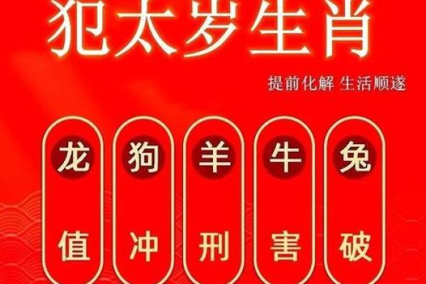 龙争虎斗的三大生肖 龙争虎斗 什么生肖