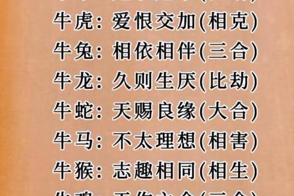 1997年属什么生肖最佳婚配 1997年出生的和什么属相好