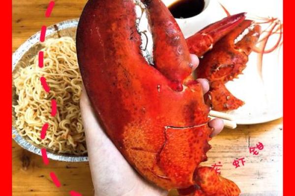 好衣美食指什么生肖