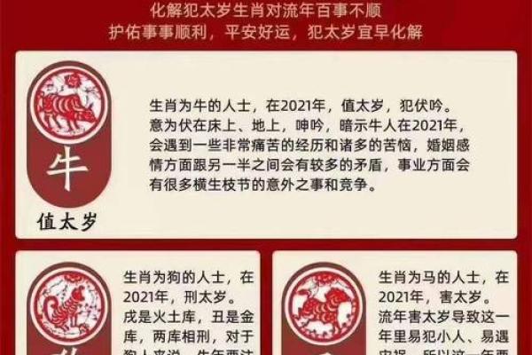 实是什么生肖 华而不实是什么生肖
