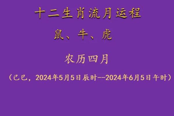 2004年是什么年属什么生肖 2004年是什么生肖年份