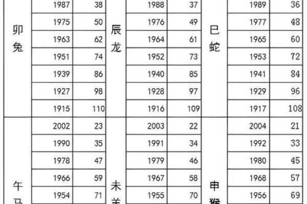 2004年是什么年属什么生肖 2004年是什么生肖年份