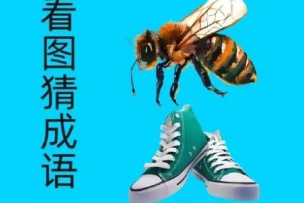 邻鸡惊晓最准打一生肖(邻鸡是什么意思)