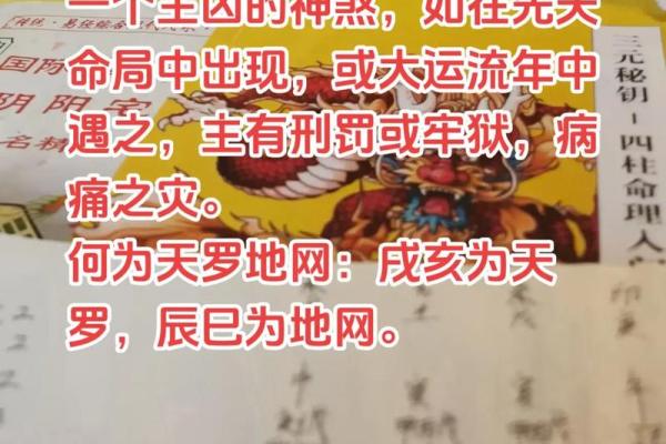 天罗地网最佳生肖答案(天罗地网打一动物是什么动物)