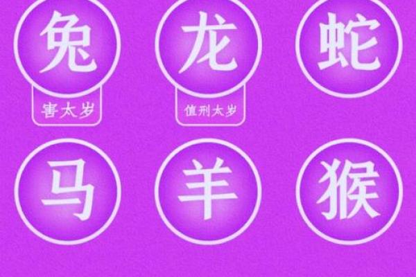 2024犯太岁的属相都是什么(2024犯太岁的属相都是什么生肖呢)