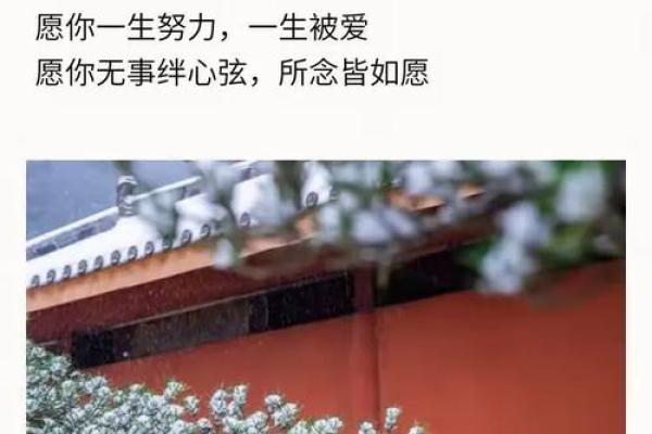 谈辞如云打一生肖正确答案是什么？详细解析来了