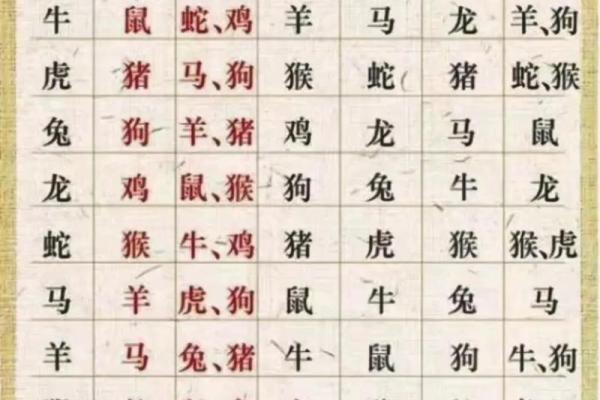 巧取三五和九数是什么生肖(巧取三五和九数是什么生肖超准确的)