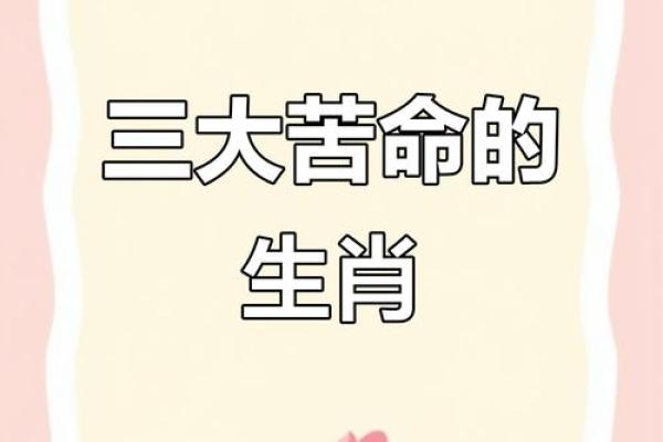 当仁不让打一个生肖