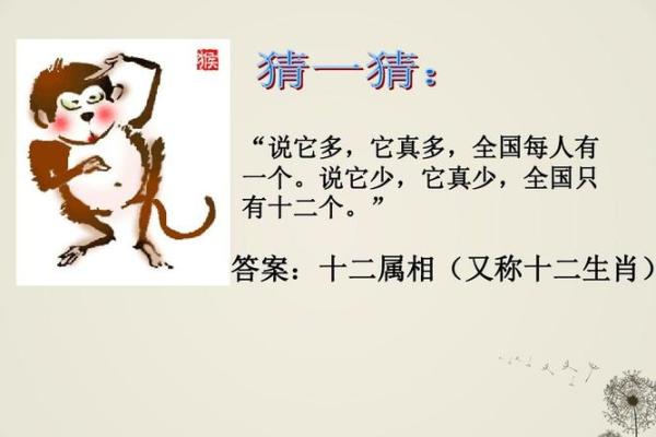 雪人是指什么生肖？着个谜语背后的答案和寓意解析