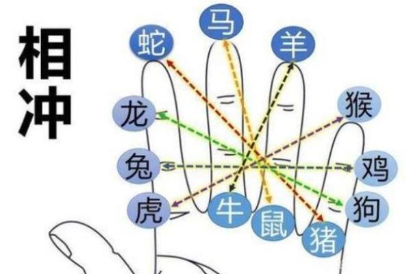 冰瓯雪椀是什么生肖