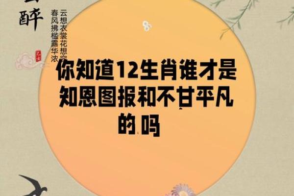 十二生肖个个知是指什么生肖 十二生肖个个知是什么意思
