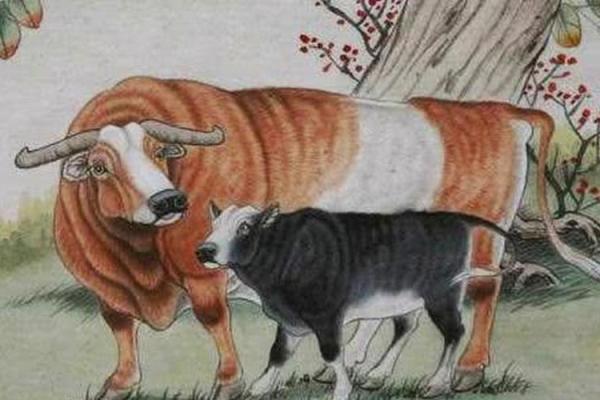 英明果断是什么生肖