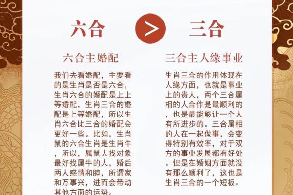 三合属相和六和属相是什么意思 属相三合和六个合生肖