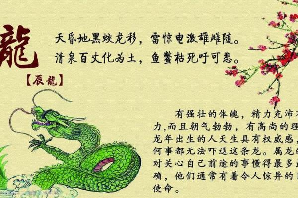 二三出巢三高翔”具体指的是哪个生肖，有没有详细的解释？