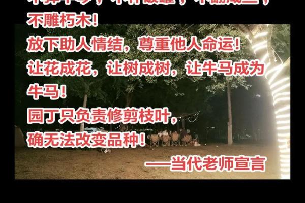 ‌立定脚跟打一生肖 → 牛‌（老牛扎根，岿然不动）