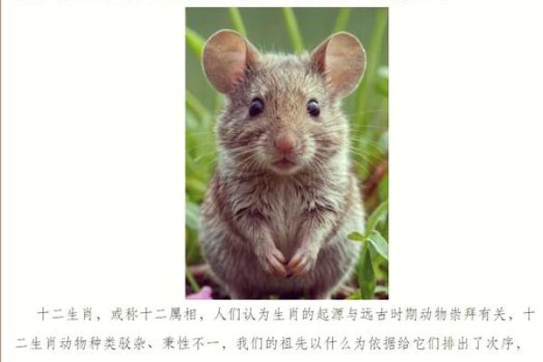 阳春三月对应的生肖动物究竟是哪一个？详细解析来了